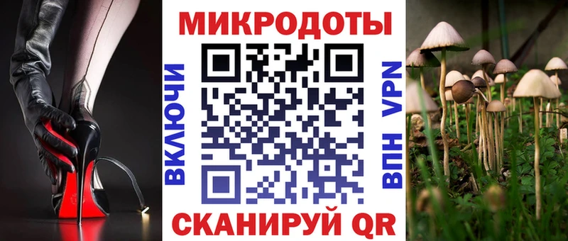 где найти наркотики  Печора  Галлюциногенные грибы Psilocybe 